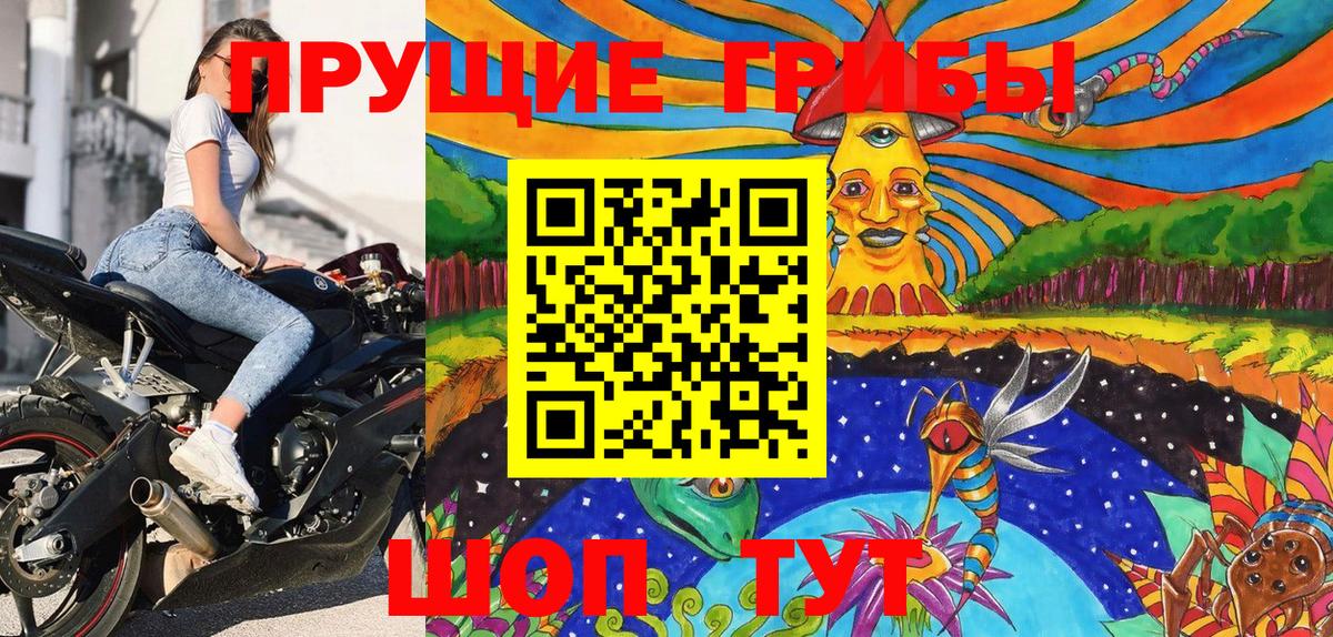 Галлюциногенные грибы Psilocybe  Вход с VPN  Новошахтинск  Псилоцибиновые грибы Psilocybe 