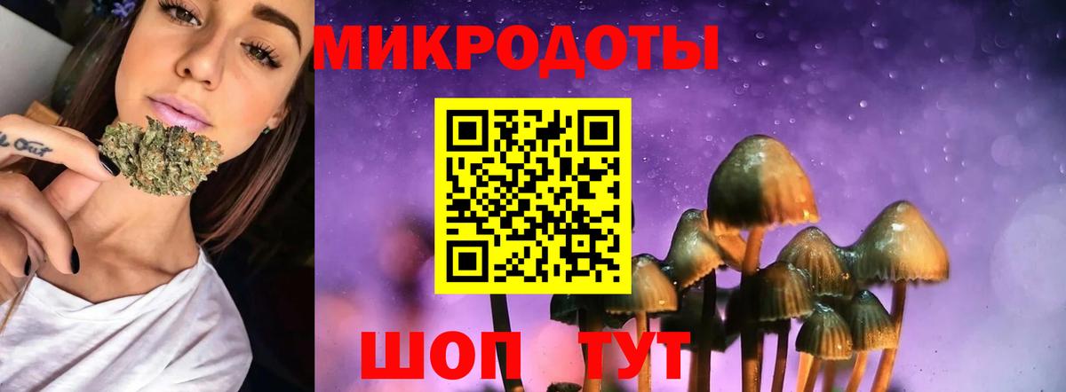 Псилоцибиновые грибы мухоморы Новошахтинск